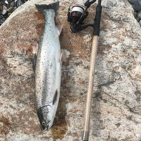 Brolokken בית נופש *