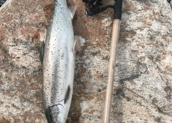 Brolokken Ferienhaus *